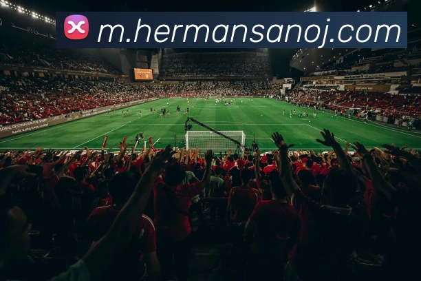奖项4